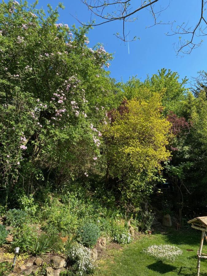 Pantone Ultra Lägenhet Dossenheim Exteriör bild