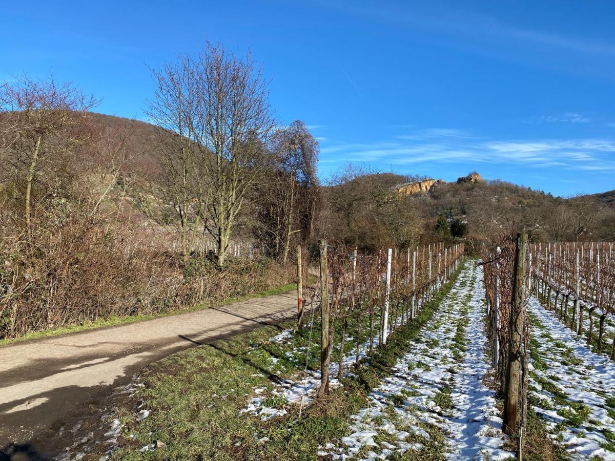 Pantone Ultra Lägenhet Dossenheim Exteriör bild